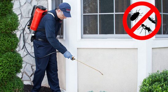 Aralık Hamam Böceği İlaçlama böcek ilaçlama ve haşere kontrolü — ilaclama-tr.com
